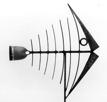 Animal Gallery: sculpture by Hardy Jones