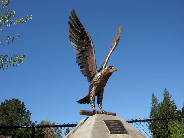 Work in Public: sculpture by Hardy Jones